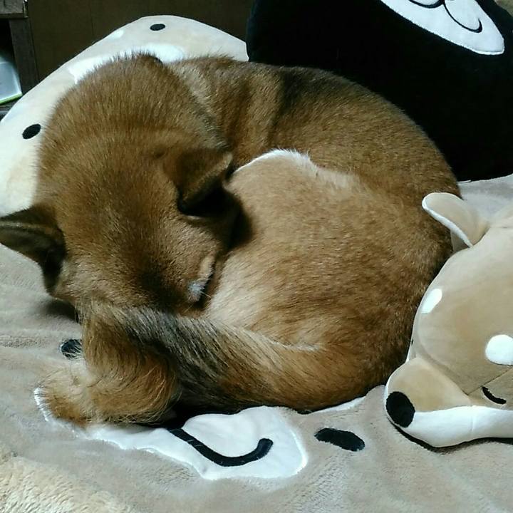 5b9fd1cc 9ab9 4a91 8e36 e80d120d77ca 1540995180364