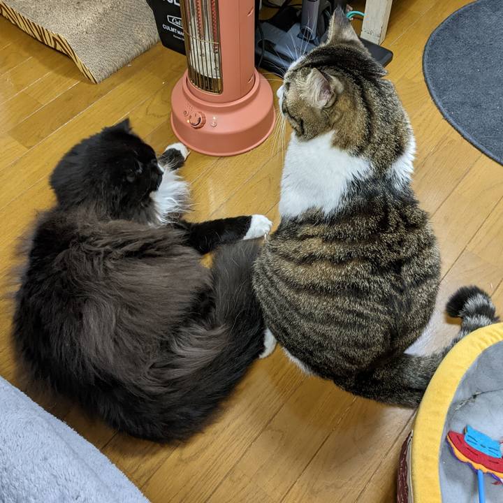 5b9fe437 90f1 48b8 a19a 938ca3397db6 1669197655533