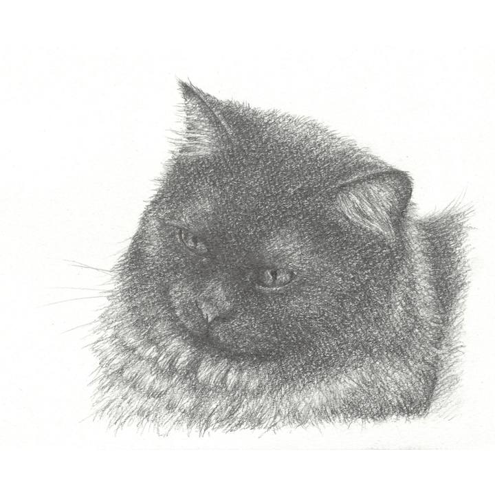 5b9fe7fe b227 44c1 88eb c605ef5de290 1547905324469