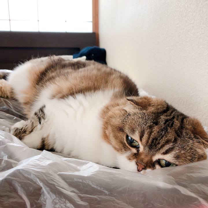 5b9ffcb1 4a07 46b1 9970 d3d639c76b5a 1564071572577