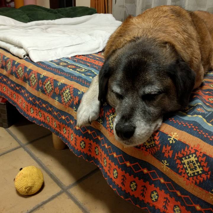 5ba015c0 1502 44ba 9964 cc0cfeb1af15 1713490624747