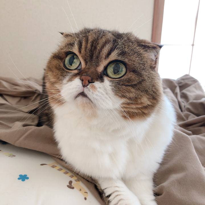 5ba07ab5 ab65 470c a328 98bcbbf1b1fd 1596770303874