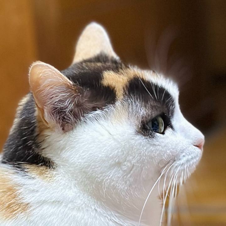 5ba07b7e 8f98 4622 946a 62c9fd2a42f0 1708134604792