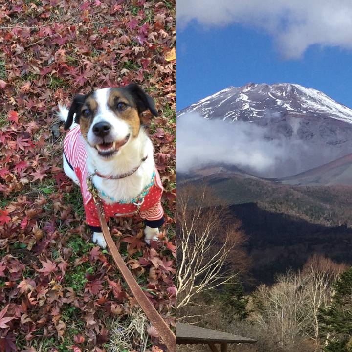 5ba0a644 8e6a 4698 bf68 0484ba156391 1510455963243