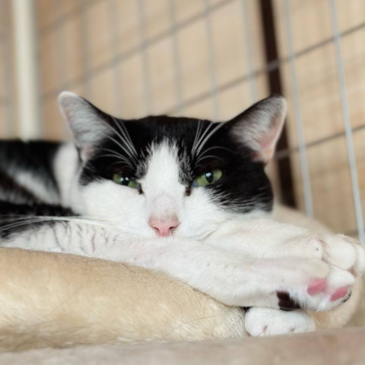 5ba0dac4 196b 48e4 9f88 c3b5e6a7a4bc 1704852730791