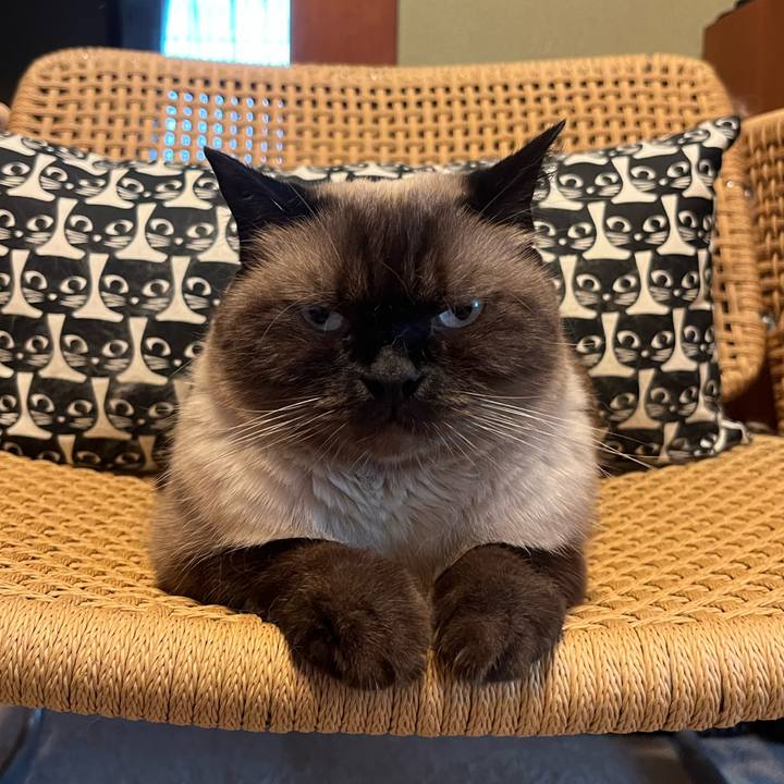 5ba0e090 e76e 4005 9769 ccf6668a87dd 1693437651635