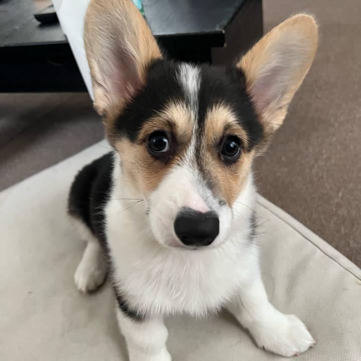 5ba0fd4a 6572 448e 86cc f32c417fbdab 1771641242541