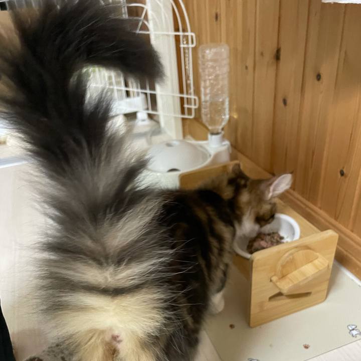 5ba13301 7b8c 499a bccd b78327e62c97 1633726295722