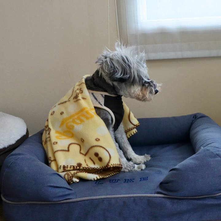 5ba137e4 6307 44d5 bf16 c3203a1b04d0 1761176536871