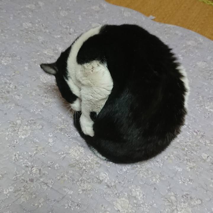 5ba1545c b459 4ead 98b9 0d65e69ba7e2 1548676778934