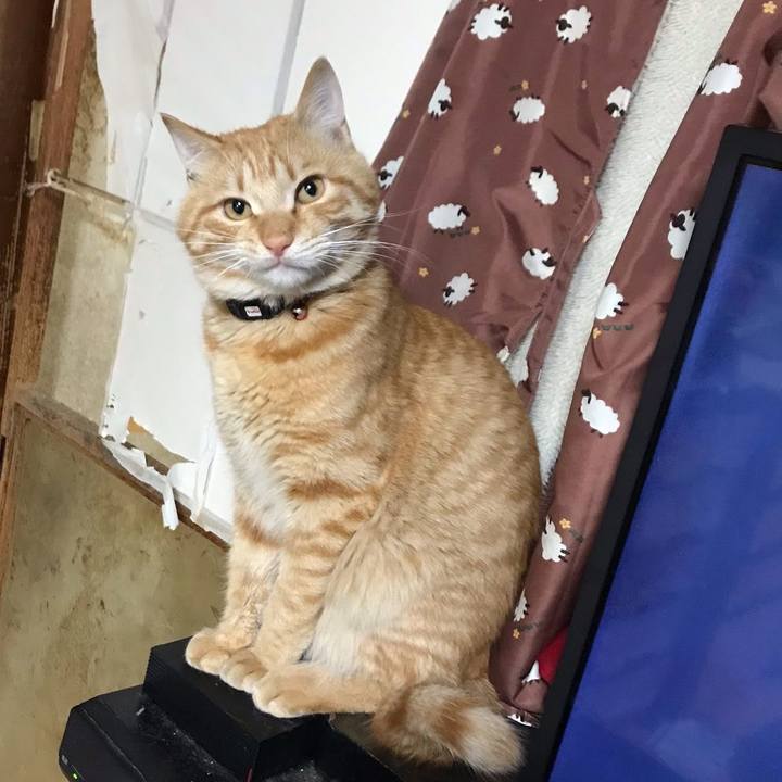 5ba164f2 06fc 402d ba4b c15cb4b94e3c 1647751944001