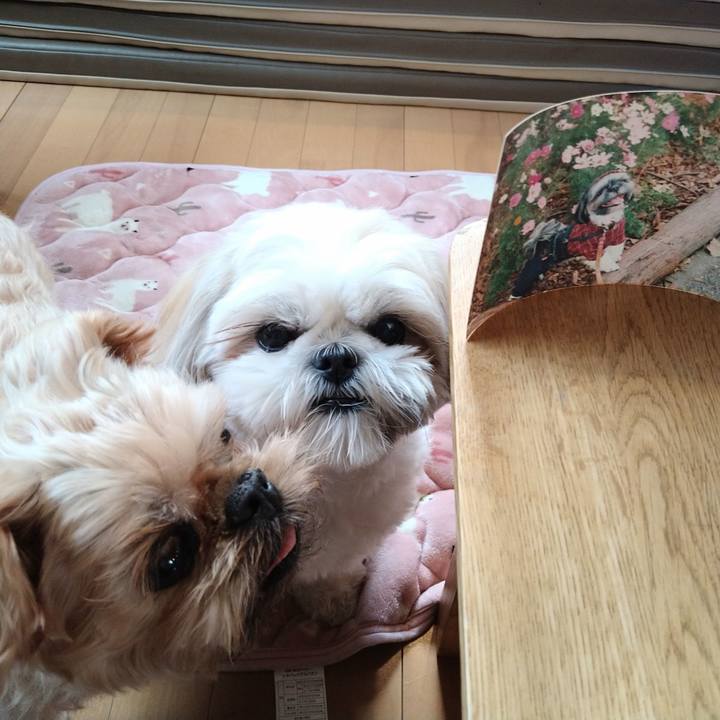 5ba189fd 2002 45af ba6b 7325e4b1707e 1637755766649