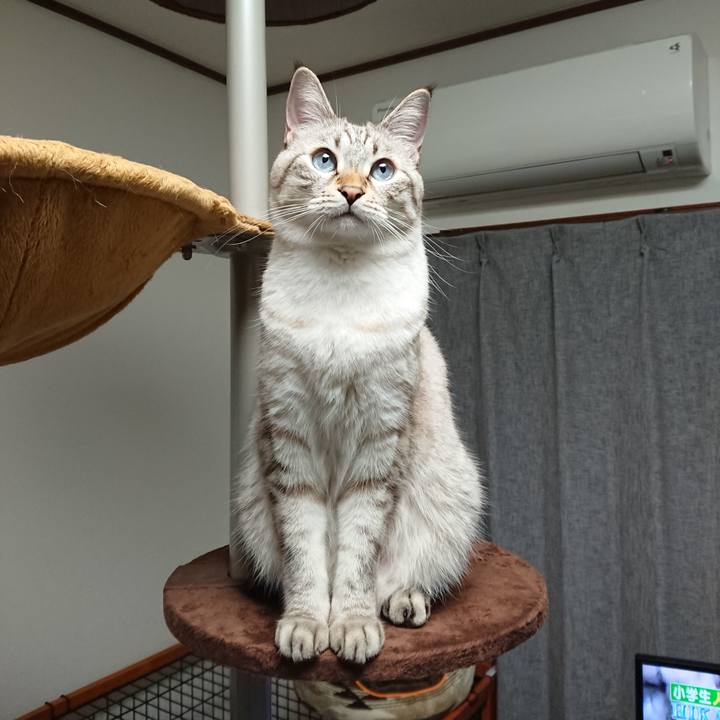 5ba1ab07 a567 4107 a991 cefd641c58a8 1539000921639