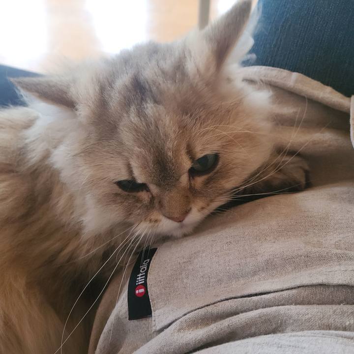 5ba20e96 e72e 4c93 b15f 290029325443 1653035414180