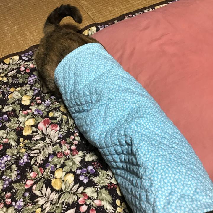 5ba24e2f ee71 4657 bd36 3bab10762e8f 1592557710359