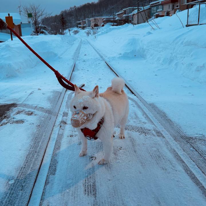 5ba2781f a495 4ee4 bf6e e56e400acbf1 1769213514601