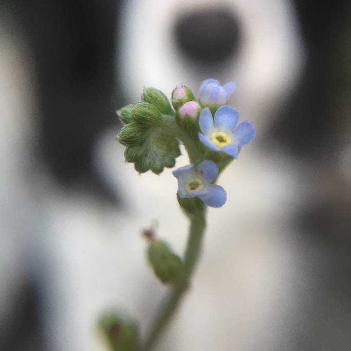 5ba27b36 f3e7 4b28 842c 8d7944c5f61c 1583449631058