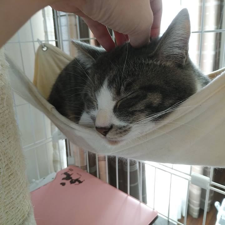 5ba29cb7 28be 4072 9a2e 8d0f36356da5 1581310610527