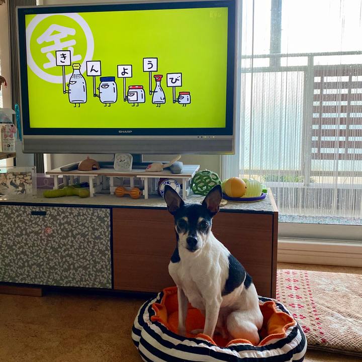 5ba29fb3 765e 4eec 8c8d d474d16552b0 1582841260574