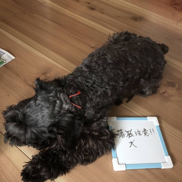 5ba2b5e2 64a9 48eb b17e 8dac5b631be3 1562733710643