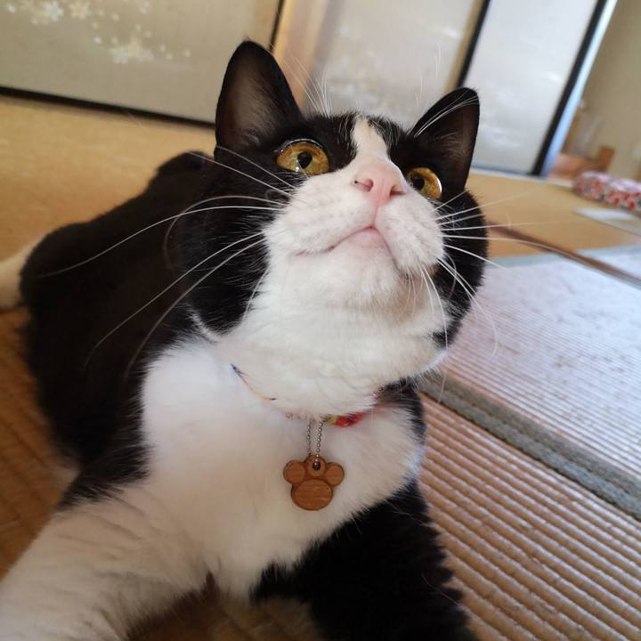 5ba2c617 146f 4f04 8e69 68038aa36371 1565416351085