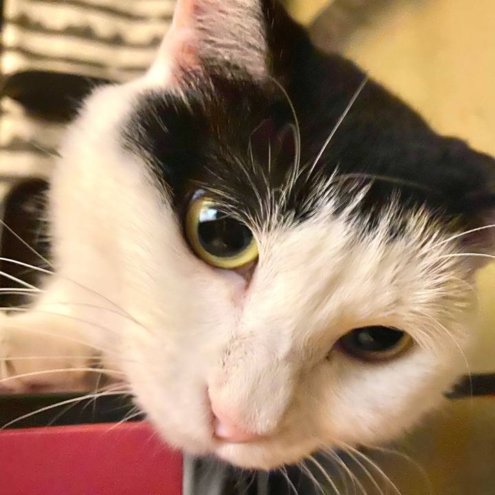 5ba2daef 4a69 4303 b5b6 02ed99188376 1690556503986