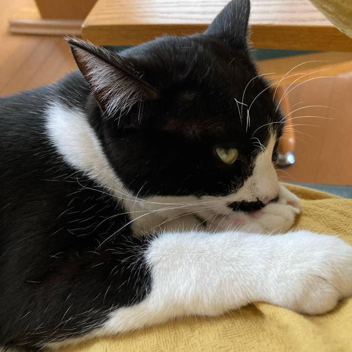 5ba2e183 d5dd 4e66 a7df a1dcdab11bce 1711859020681