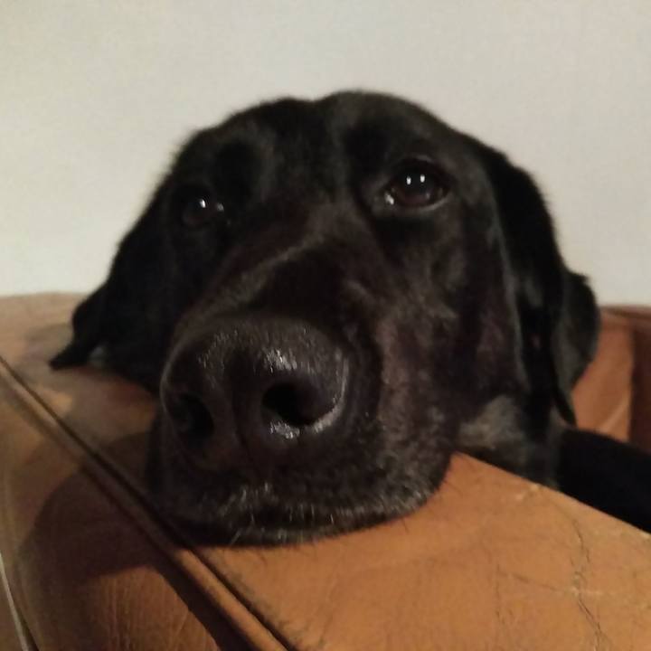 5ba2f2b1 5ae2 4787 a629 d552f0f423a5 1593779393129