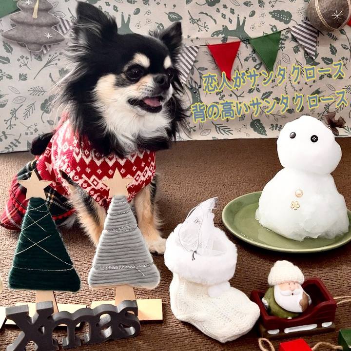 5ba2fd60 3b8e 4181 a5d4 1fce2271fc24 1671926607980