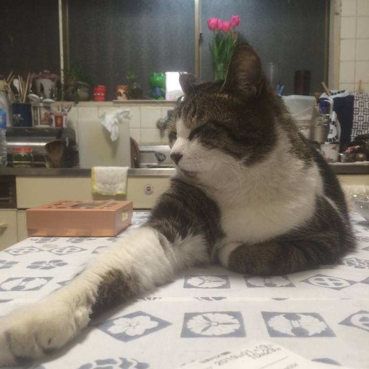 5ba32e0e 3bf4 4da0 8bb8 3c4f648105be 1548243469702