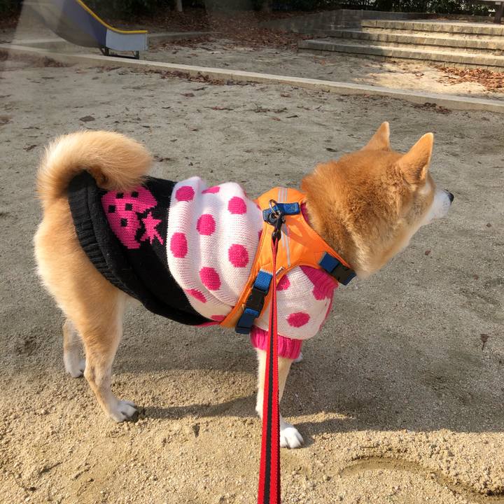 5ba345fc b6c0 4dba bc03 a9b745687b4e 1579179462981