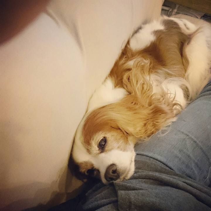 5ba34c93 3f28 49b7 ad6a 685891d277c2 1541666015995