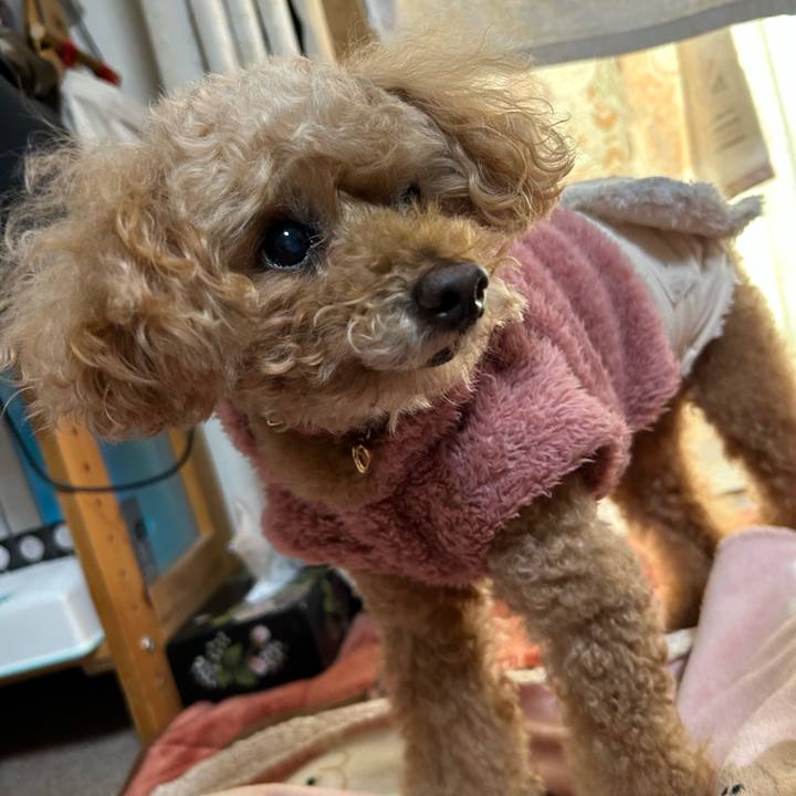 5ba39077 1e29 4d19 a198 44480d49c7a1 1765426192156