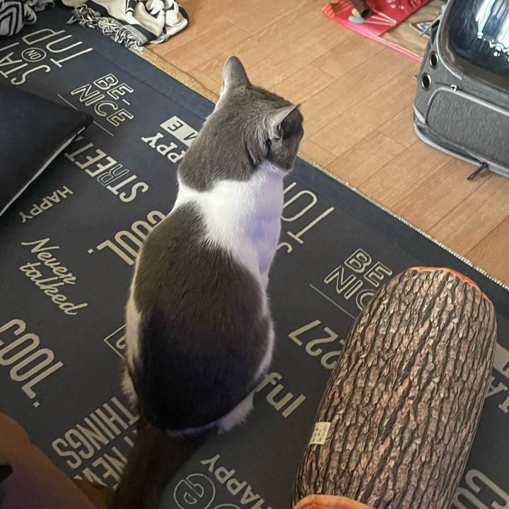 5ba39daf ed82 401b 89b8 2019dbe3e19b 1703833362184