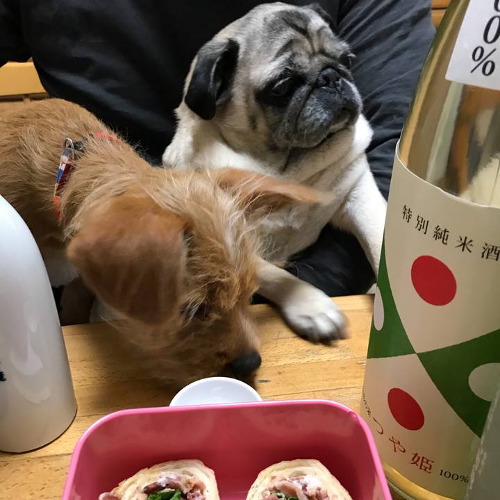 5ba3a15b c243 41a4 bd41 eeea0b4e5fd3 1521689345947