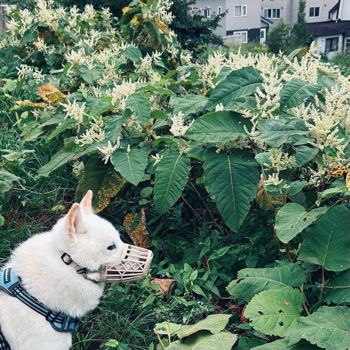 5ba3c3dc 1ed2 4741 940d b995ceaa2e77 1756415872796