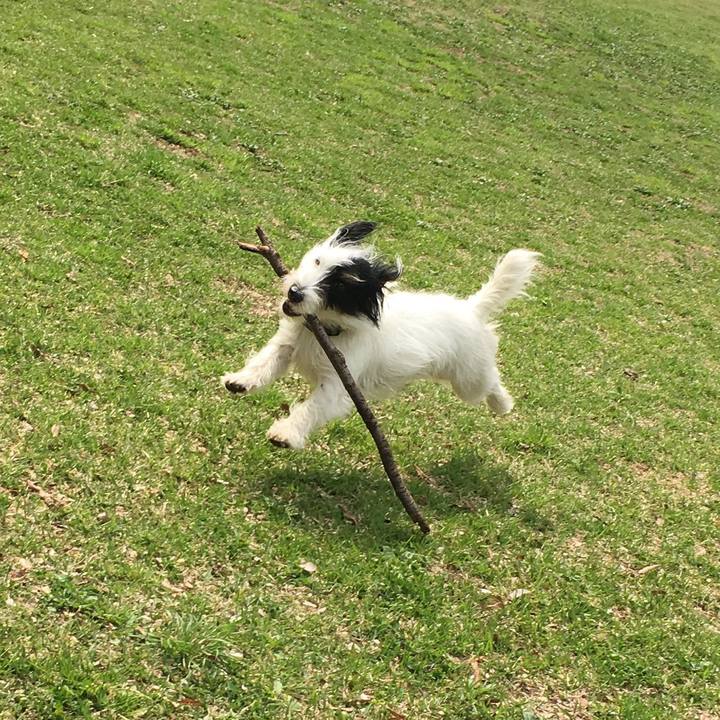 5ba3d34f 4379 4c6a 9188 a0714b8ed3f8 1523574363803