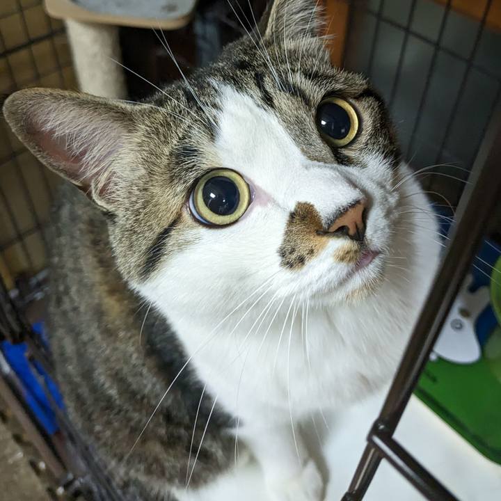 5ba3d4da a0c8 4931 8e42 49e567f4309f 1681990332476