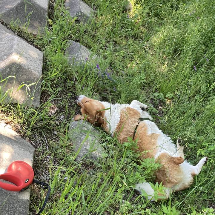 5ba3eff0 ca8f 4f4d 878a 49875c52afb7 1715306911282