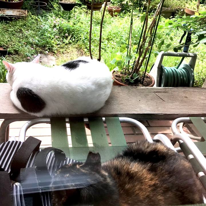 5ba400ea 9521 4699 a26a 69e682b9b9a8 1593578972139