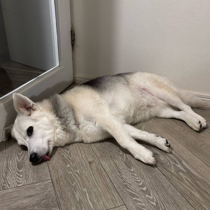 5ba40fbd 2231 4c87 9a21 96a81f9b4d27 1755308569825