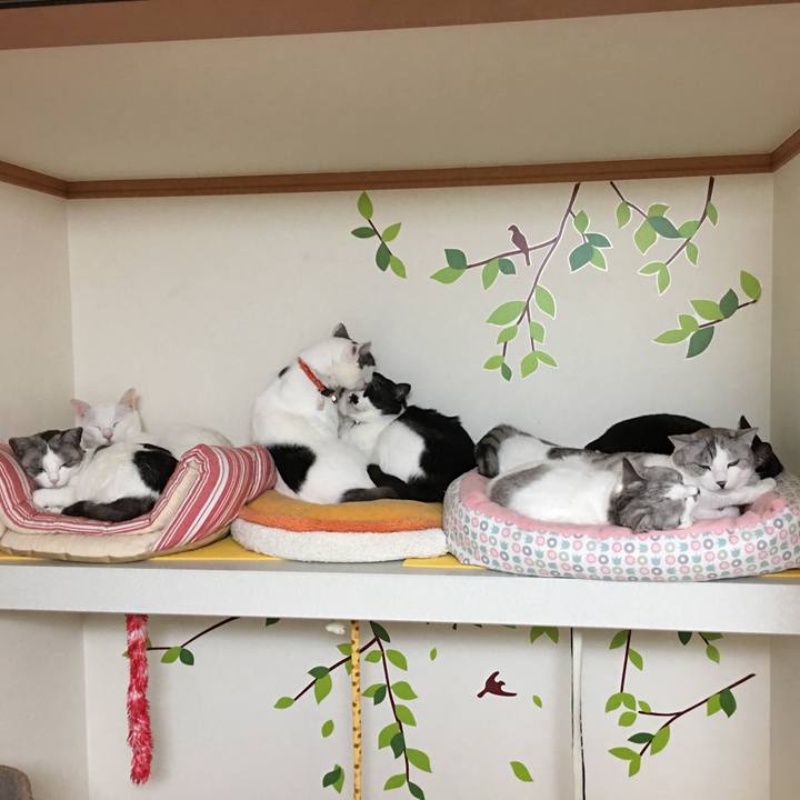 5ba42f83 74a9 4bab 9d86 044a6ac18caf 1520065179157