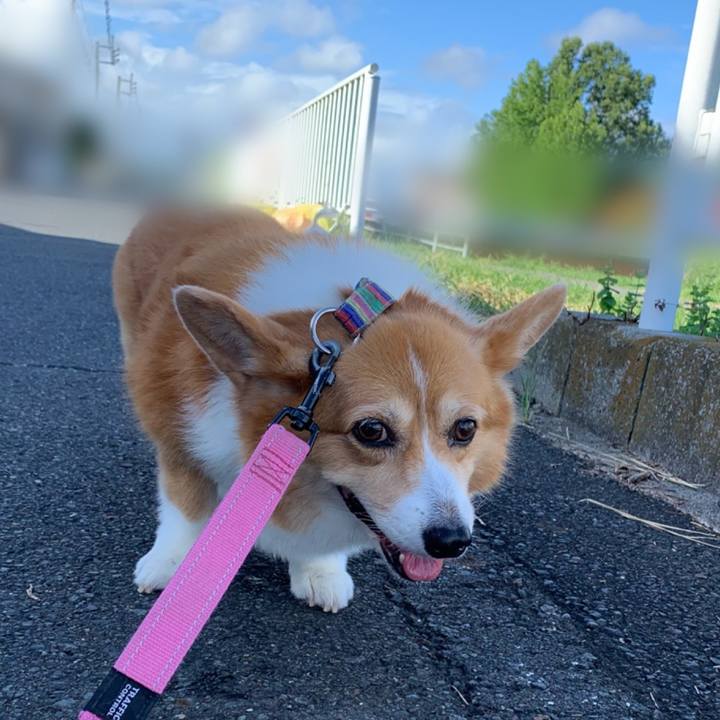 5ba45999 6bd4 4ca8 8727 e14c1f649f4e 1691971731569