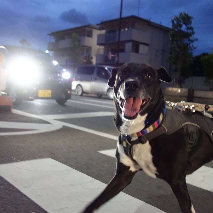 5ba45bb2 023e 4f71 94bb 58c41a82c190 1650364145770