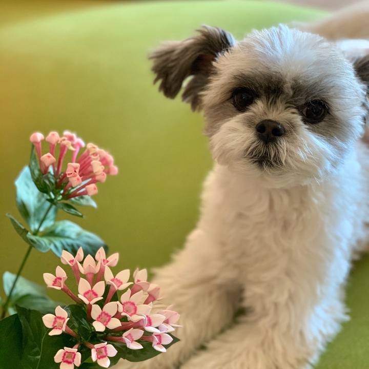 5ba48529 612c 4a77 9eec 2d2a249bec81 1608262521135