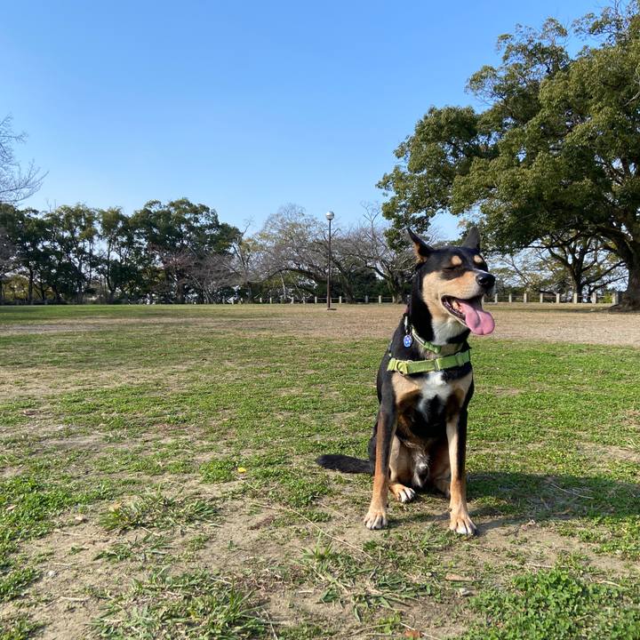 5ba4a00d 49d4 4606 9c4d 11687f14ef6b 1637328654172