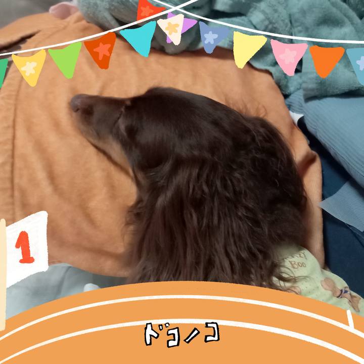 5ba4e99d 451c 46cb 8741 79ecd760fd45 1761428535947