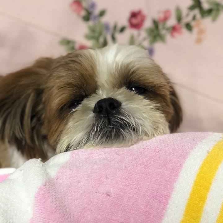 5ba50aea 030e 4623 9272 92f777d93c89 1537626265705