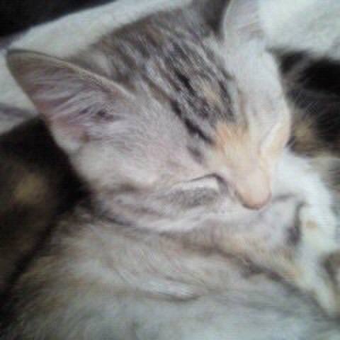 5ba51118 0841 4a25 b30f febc562cc36c 1547134995967