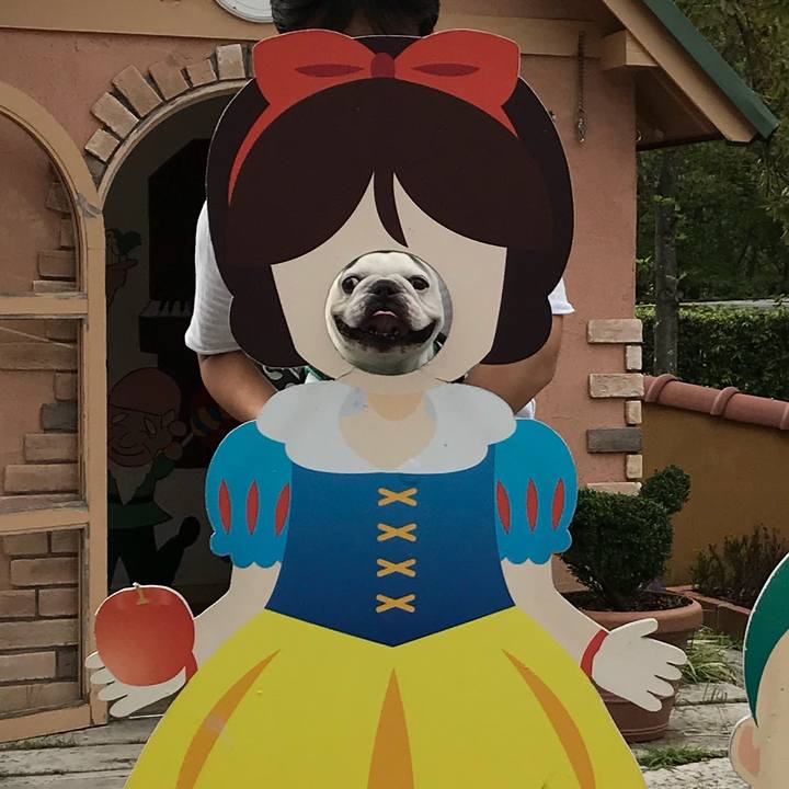 5ba51a08 9801 49fd 8b58 2d287fc0fdb6 1538013211003